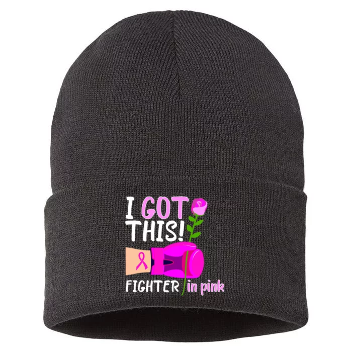 I Got This Fighter In Pink Breast Cancer Sustainable Knit Beanie