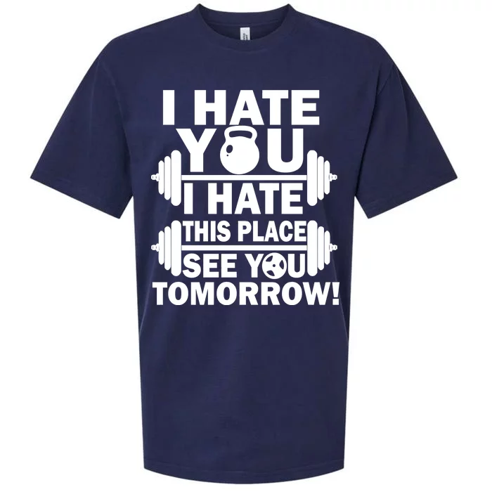 I Hate You This Place See You Tomorrow! Sueded Cloud Jersey T-Shirt