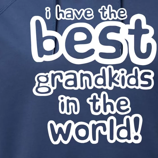 I Have The Best Grandkids In The World Performance Fleece Hoodie