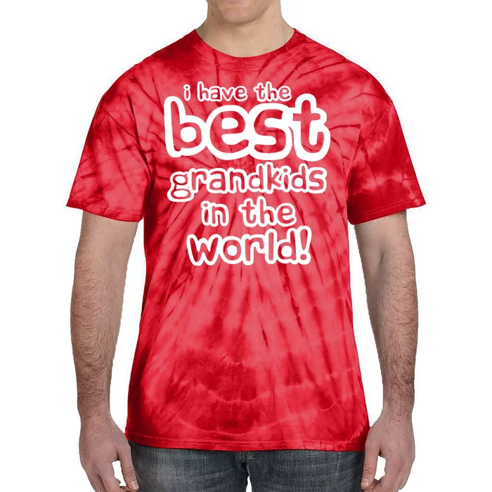 I Have The Best Grandkids In The World Tie-Dye T-Shirt