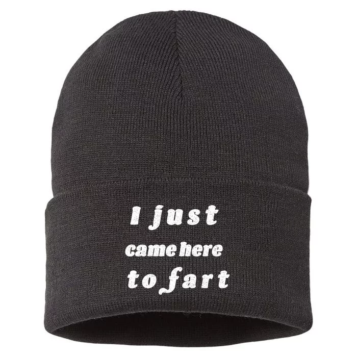 I Just Came Here To Fart Sustainable Knit Beanie