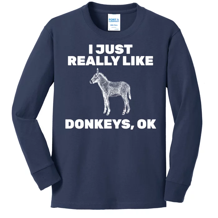 I Just Really Like Donkeys Ok Kids Long Sleeve Shirt