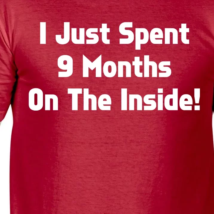 I Just Spent 9 Months on the Inside Comfort Colors T-Shirt