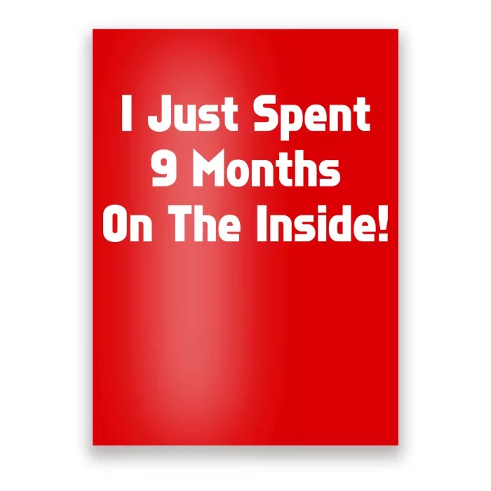 I Just Spent 9 Months on the Inside Poster