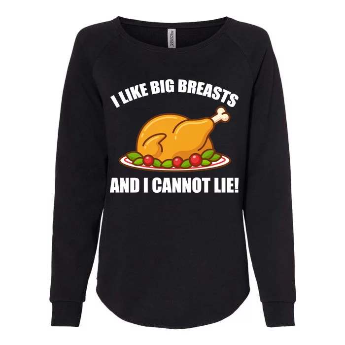 I like Big Breasts And I Cannot Lie Womens California Wash Sweatshirt