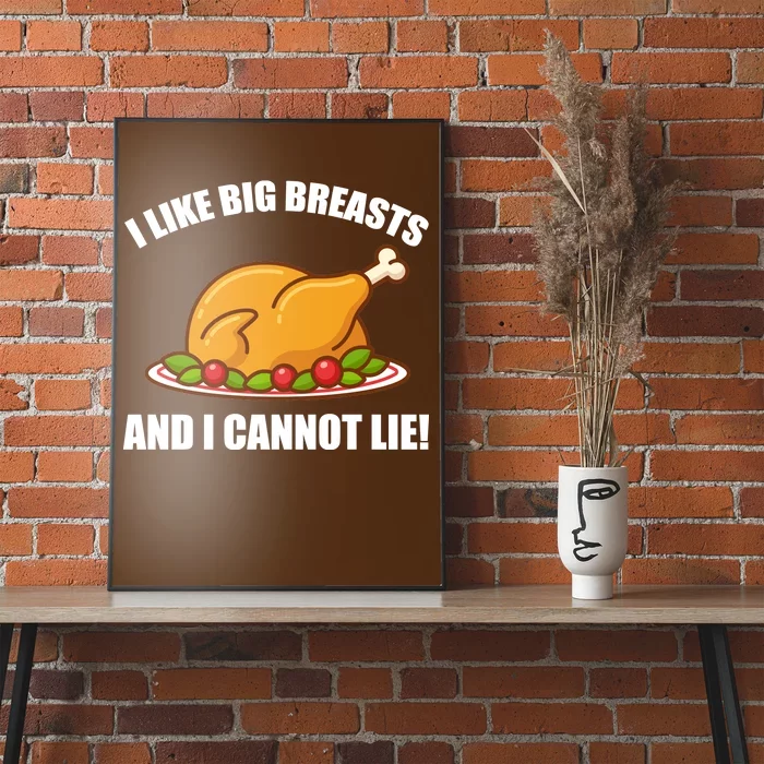 I like Big Breasts And I Cannot Lie Poster