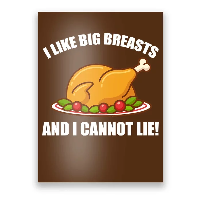 I like Big Breasts And I Cannot Lie Poster