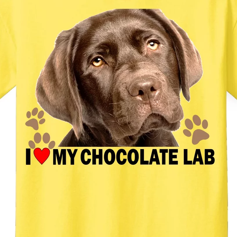 I love my chocolate lab fashion