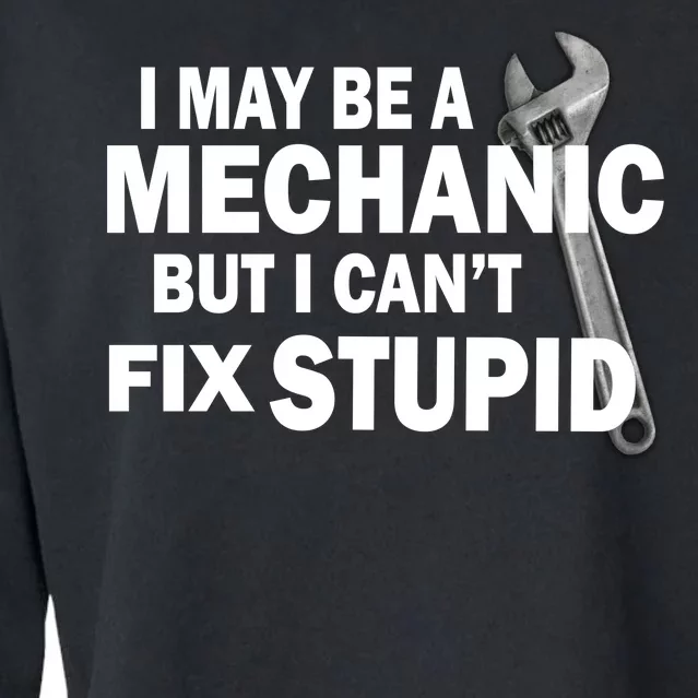 I May Be A Mechanic But I Can't Fix Stupid Funny Cropped Pullover Crew