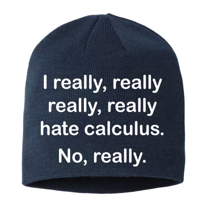 I Really Hate Calculus 8 1/2in Sustainable Knit Beanie