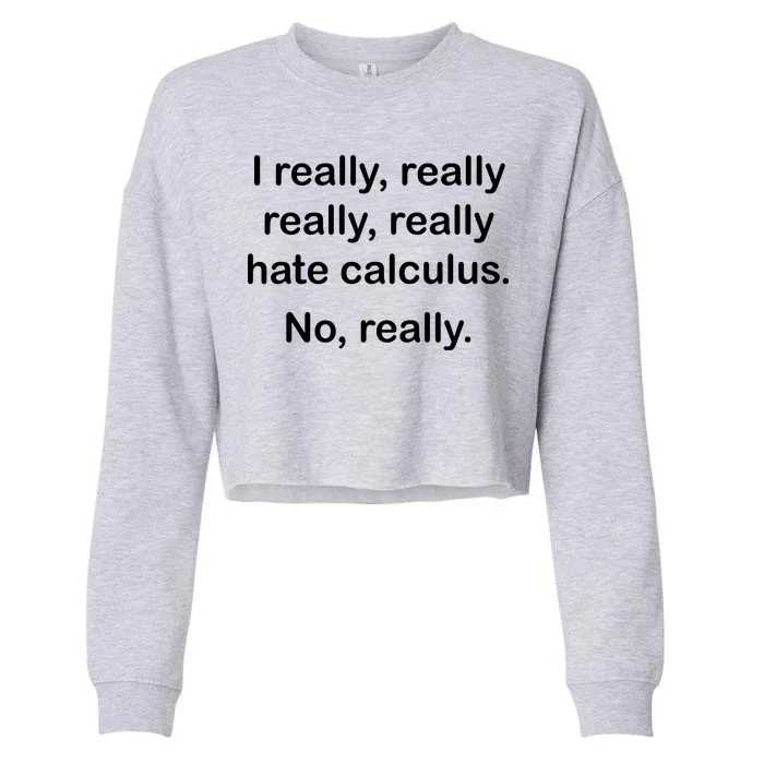 I Really Hate Calculus Cropped Pullover Crew