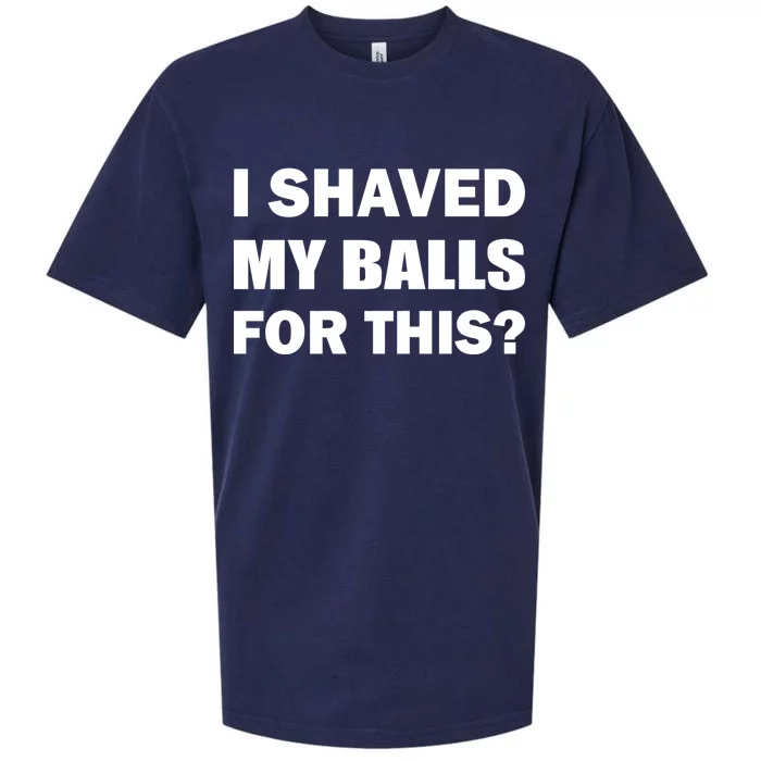 I Shaved My Bals For This? Sueded Cloud Jersey T-Shirt