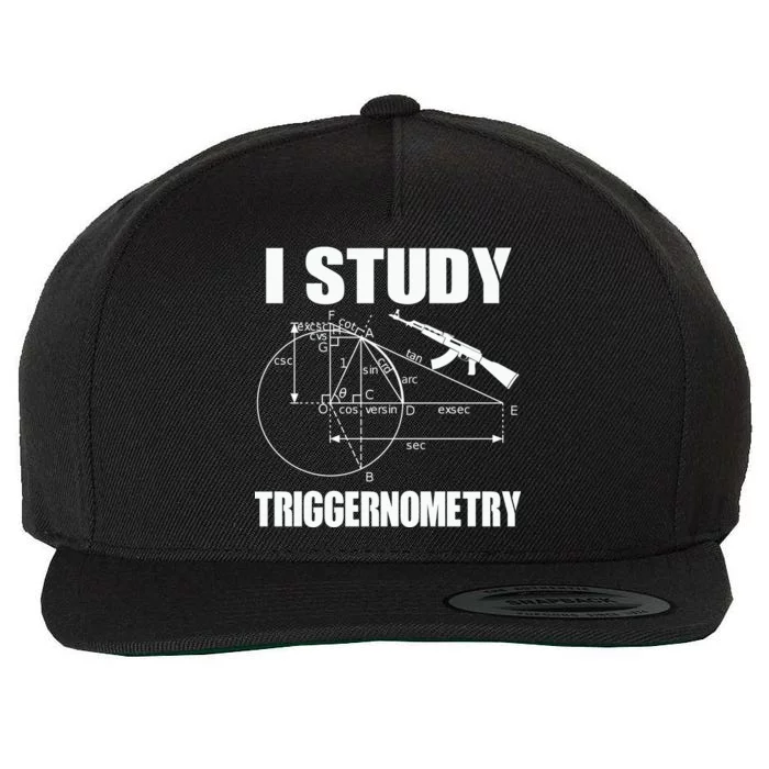 I Study Triggernometry Gun Wool Snapback Cap