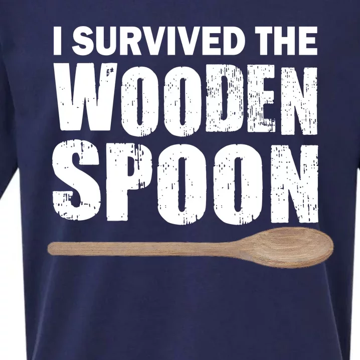 I Survived The Wooden Spoon Sueded Cloud Jersey T-Shirt