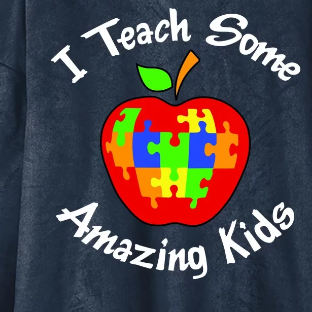 I Teach Some Amazing Kids Hooded Wearable Blanket