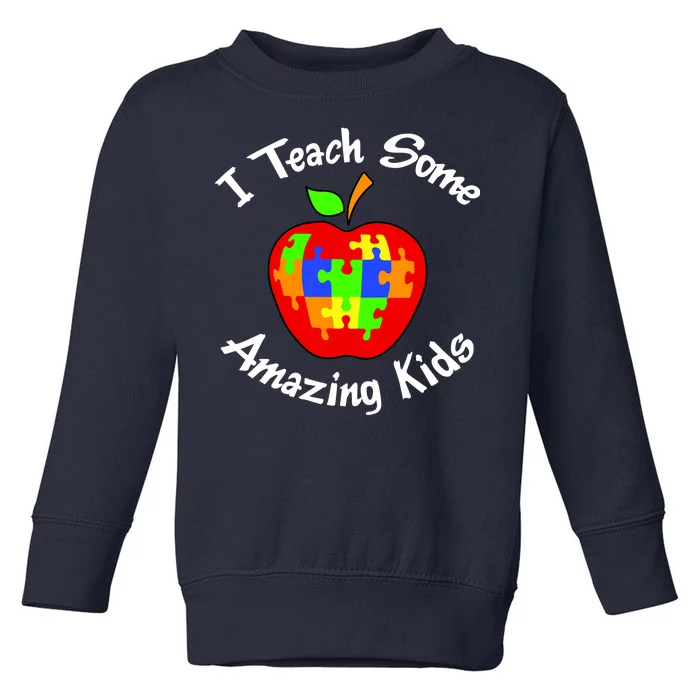 I Teach Some Amazing Kids Toddler Sweatshirt