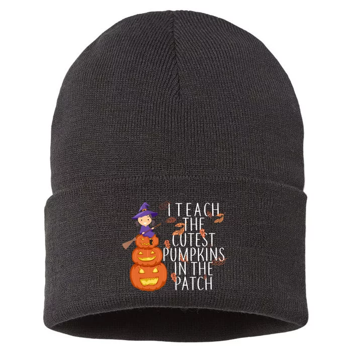 I Teach The Cutest Pumpkins in the Patch Sustainable Knit Beanie