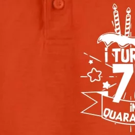 I Turned 75 In Quarantine Birthday Dry Zone Grid Performance Polo