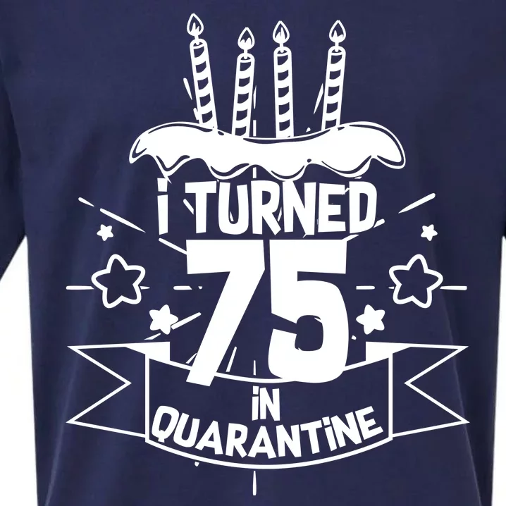 I Turned 75 In Quarantine Birthday Sueded Cloud Jersey T-Shirt