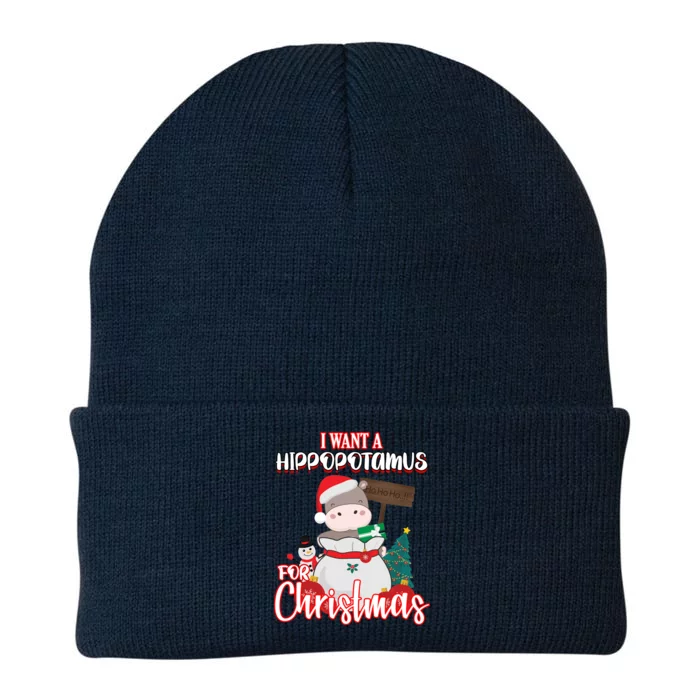 I Want A Hippopotamus For Christmas Ho Ho Ho Knit Cap Winter Beanie