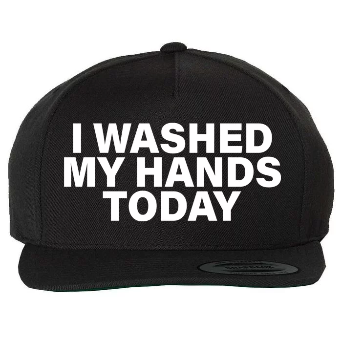 I Washed My Hands Today Wool Snapback Cap