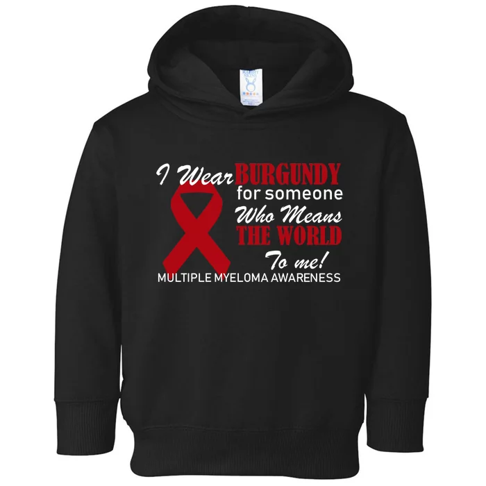 I Wear Burgundy Multiple Myeloma Toddler Hoodie