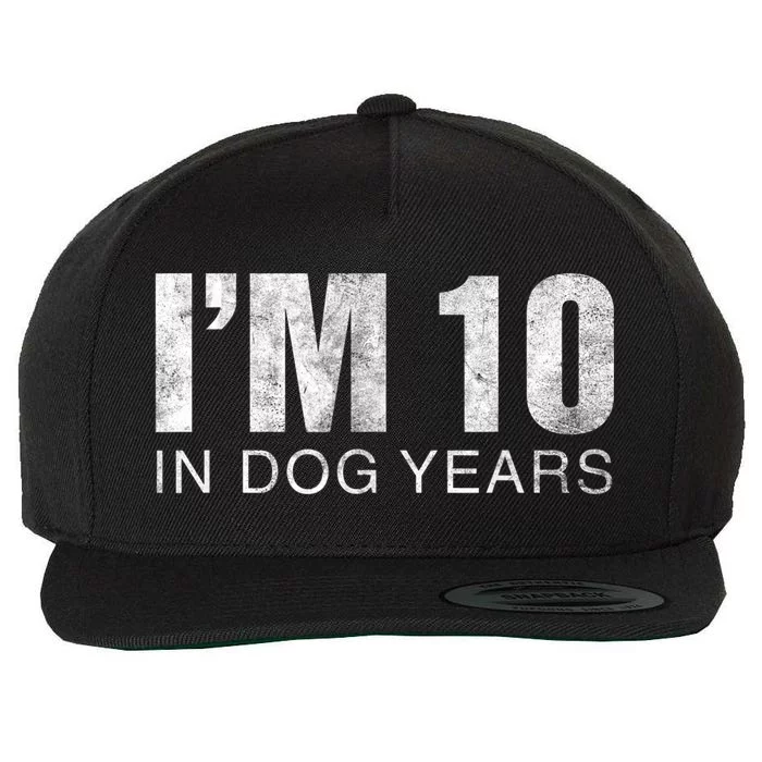 I'm 10 In Dog Years Funny 70th Birthday Gift shirt Wool Snapback Cap