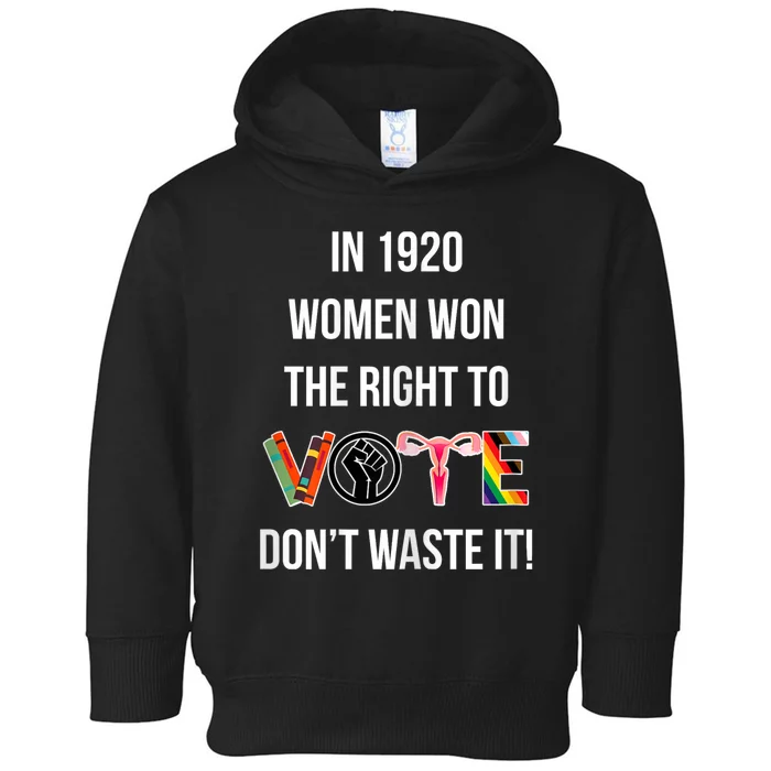 In 1920 Women Won The Right To Vote Don’T Waste It Toddler Hoodie