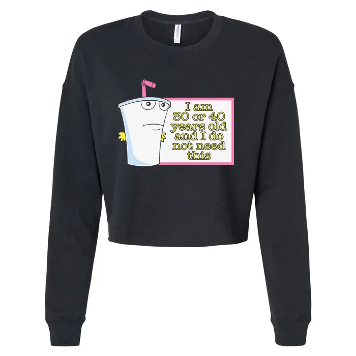 I Am 30 Or 40 Years Old And I Do Not Need This Cropped Pullover Crew