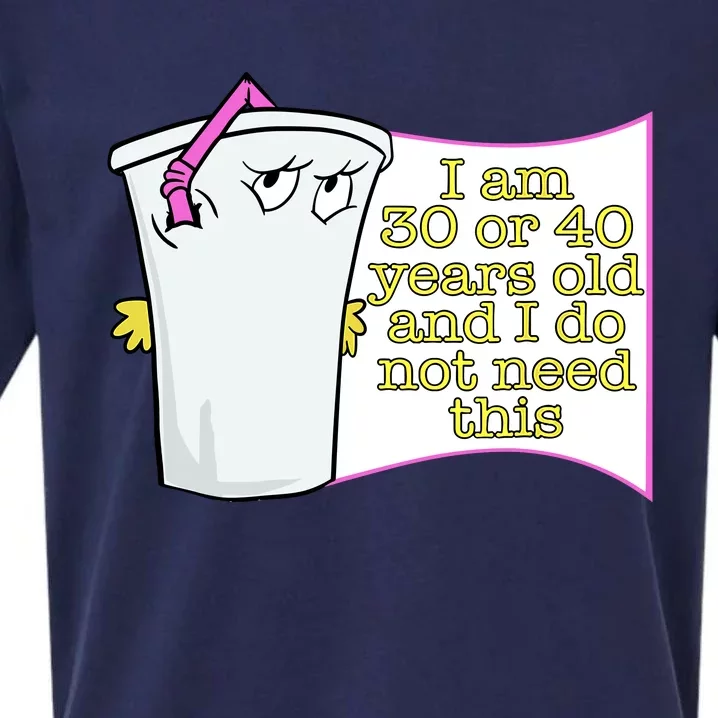 I Am 30 Or 40 Years Old And I Do Not Need This Funny Sueded Cloud Jersey T-Shirt