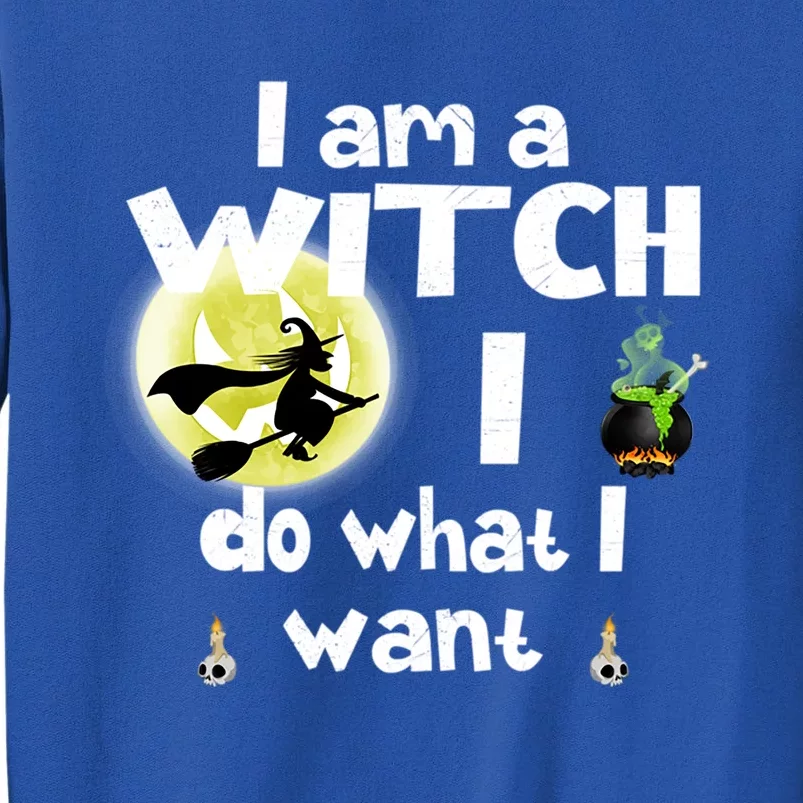 I Am A Witch I Do What I Want Funny Halloween Meaningful Gift Sweatshirt