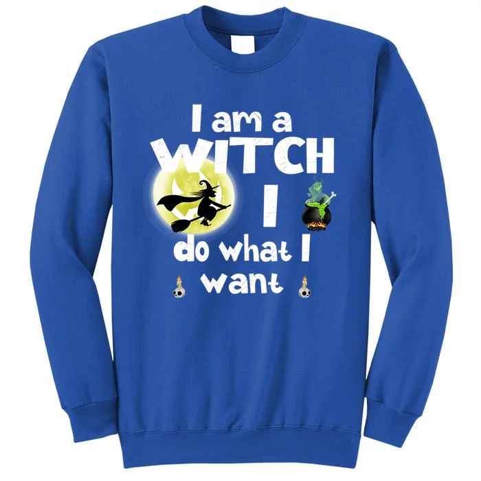 I Am A Witch I Do What I Want Funny Halloween Meaningful Gift Sweatshirt