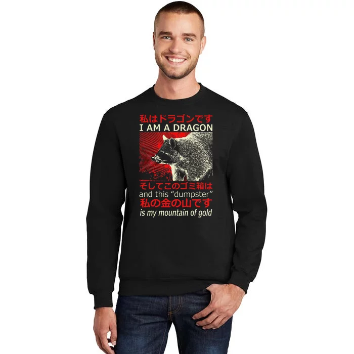 I Am A Dragon Raccoon Japanese Anime Tall Sweatshirt