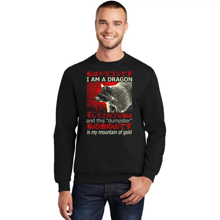 I Am A Dragon Raccoon Japanese Tall Sweatshirt