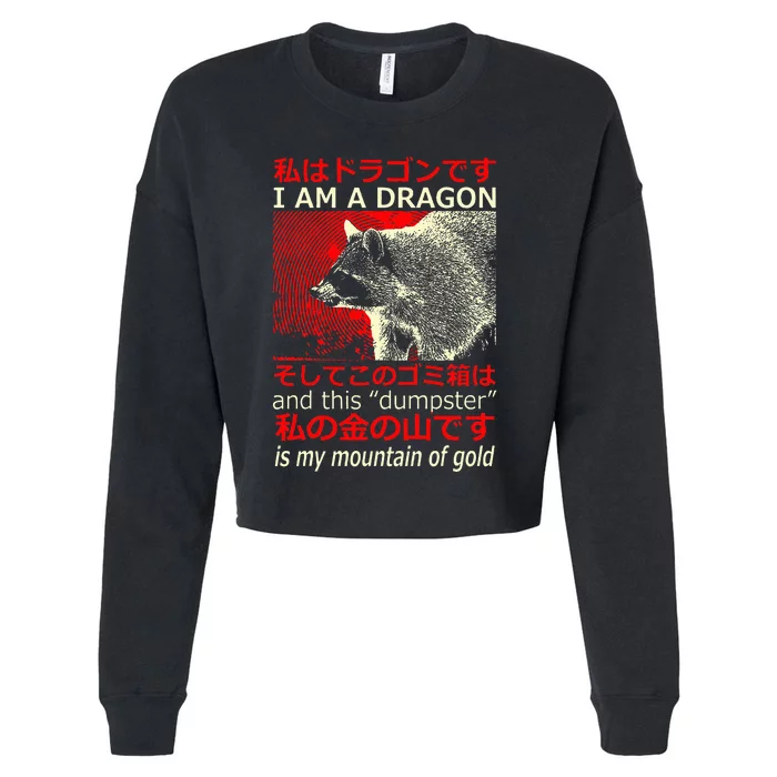 I Am A Dragon Raccoon Japanese Cropped Pullover Crew