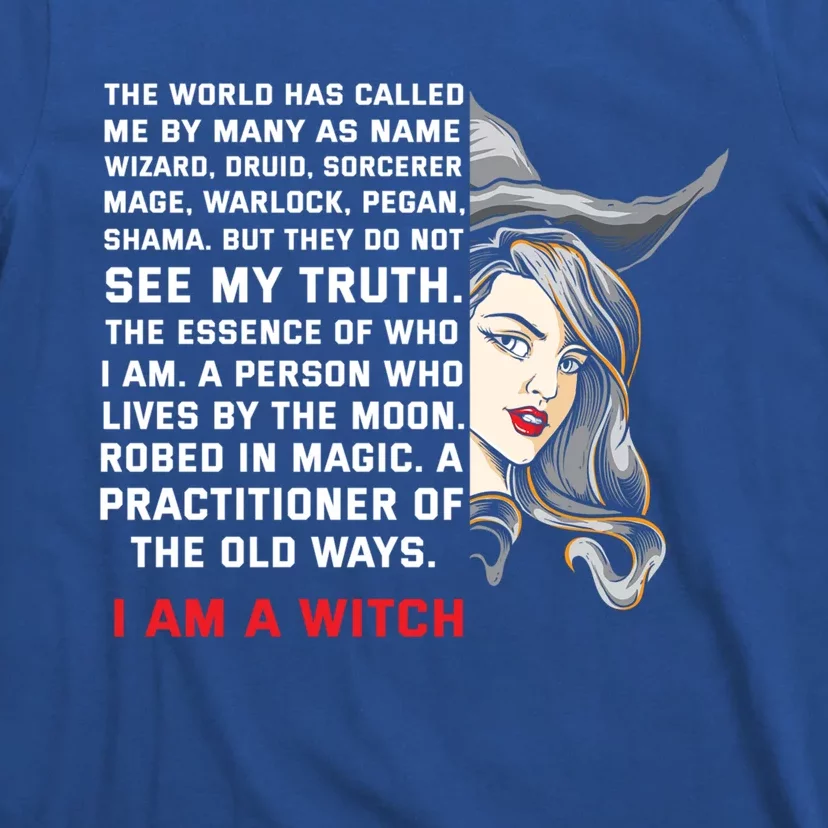 I Am A Witch Ich Bin Eine Witche Gift T-Shirt