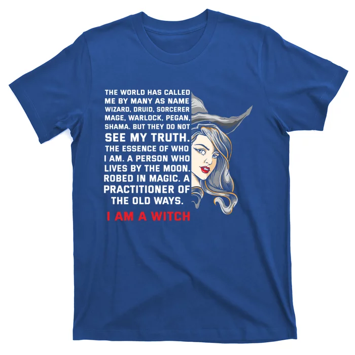 I Am A Witch Ich Bin Eine Witche Gift T-Shirt