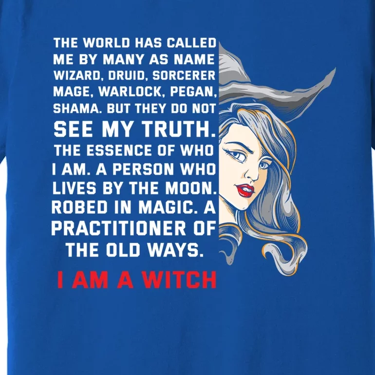 I Am A Witch Ich Bin Eine Witche Gift Premium T-Shirt