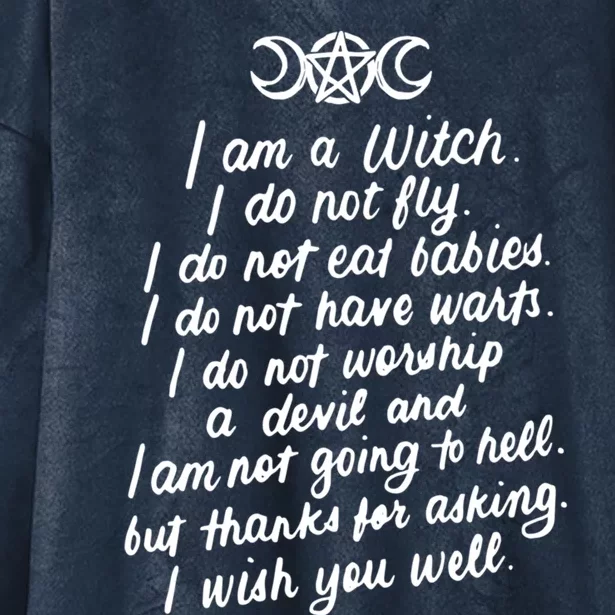 I Am A Witch Pagan Witch Wicca Wiccan Funny Gift Cute Gift Hooded Wearable Blanket