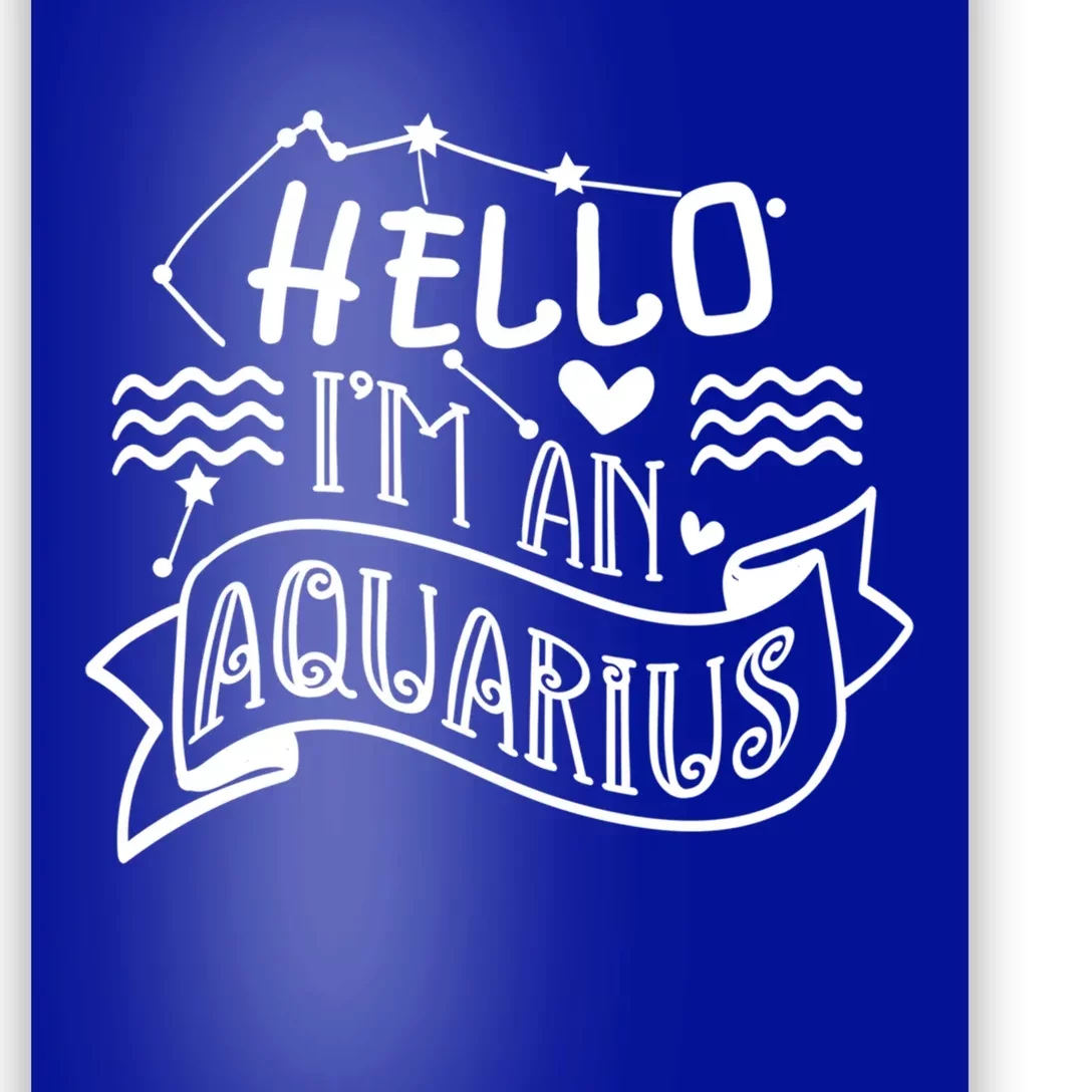 Im An Aquarius Season Astrology Horoscope Zodiac Sign Funny Gift Poster