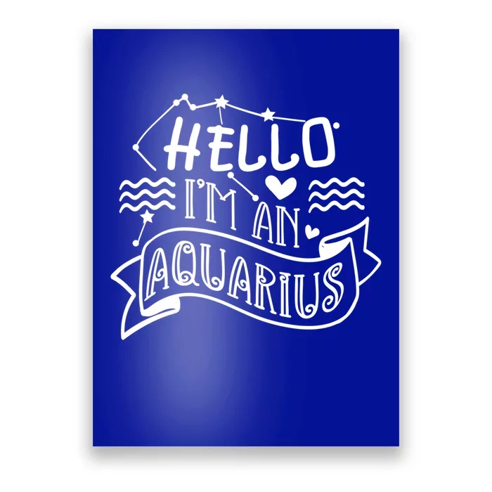 Im An Aquarius Season Astrology Horoscope Zodiac Sign Funny Gift Poster