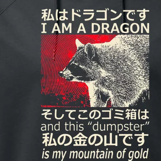 I Am A Dragon And This Dumpster Is My Mountain Gf Gold Gift Performance Fleece Hoodie