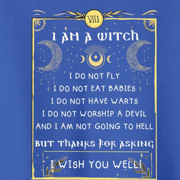 I Am A Witch Beliefs Funny Occult Witchcraft Pagan Wicca Gift Toddler T-Shirt