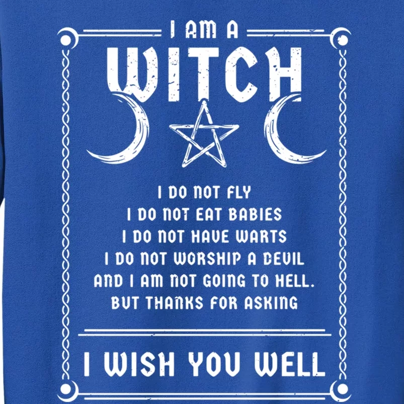 I Am A Witch Wicca Halloween Pagan Costume Great Gift Tall Sweatshirt