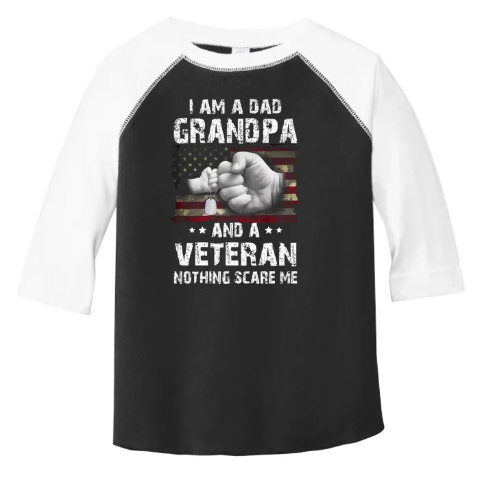 I Am A Dad Grandpa And A Veteran Nothing Scares Me USA Flag Toddler Fine Jersey T-Shirt