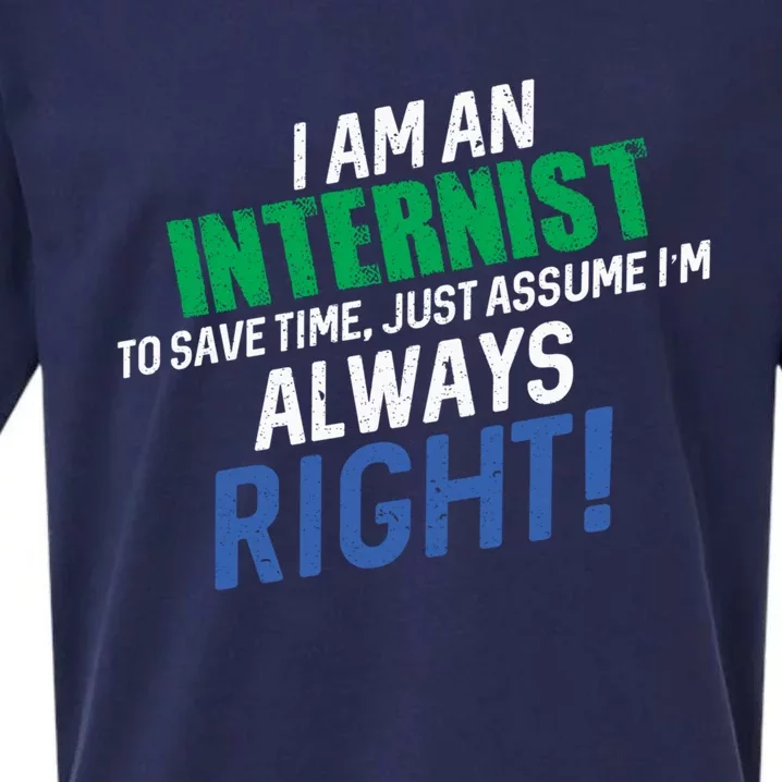 I Am An Internist To Save Time IM Always Right Great Gift Sueded Cloud Jersey T-Shirt