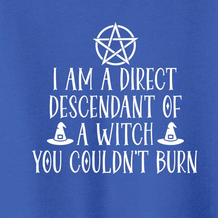 I Am A Direct Descendant Of A Witch Pentacle Meaningful Gift Toddler T-Shirt