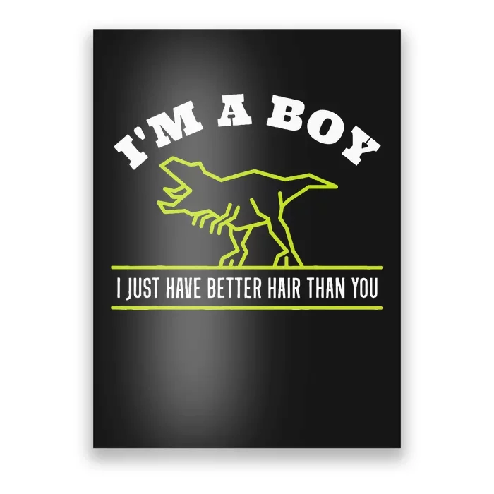 IM A Boy Just Have Better Hair Dinosaur Boy With Long Hair Poster