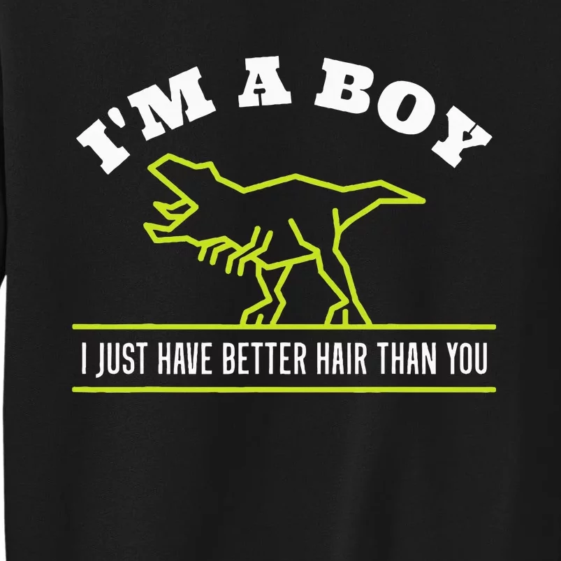 IM A Boy Just Have Better Hair Dinosaur Boy With Long Hair Tall Sweatshirt