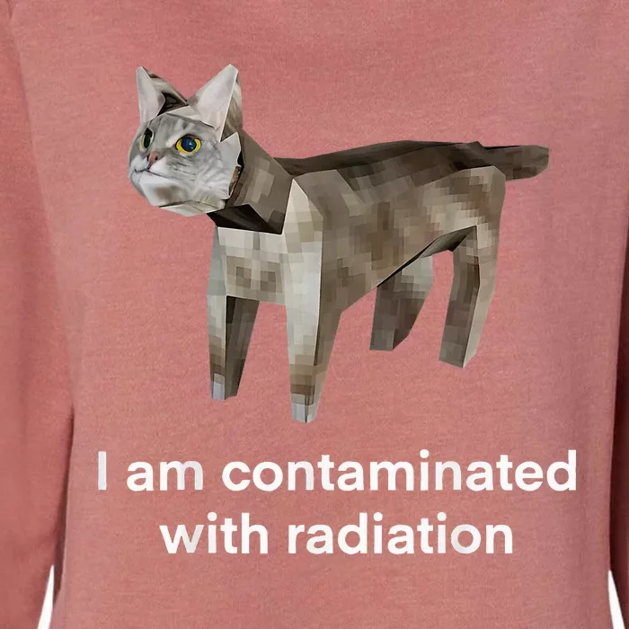 I Am Contaminated With Radiation Cat Funny Oddly Specific Womens California Wash Sweatshirt